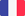 French flag icon